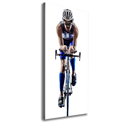 Canvas wall art Cyclist