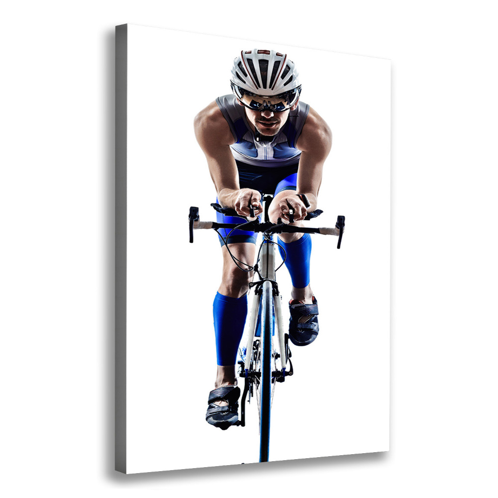 Canvas wall art Cyclist