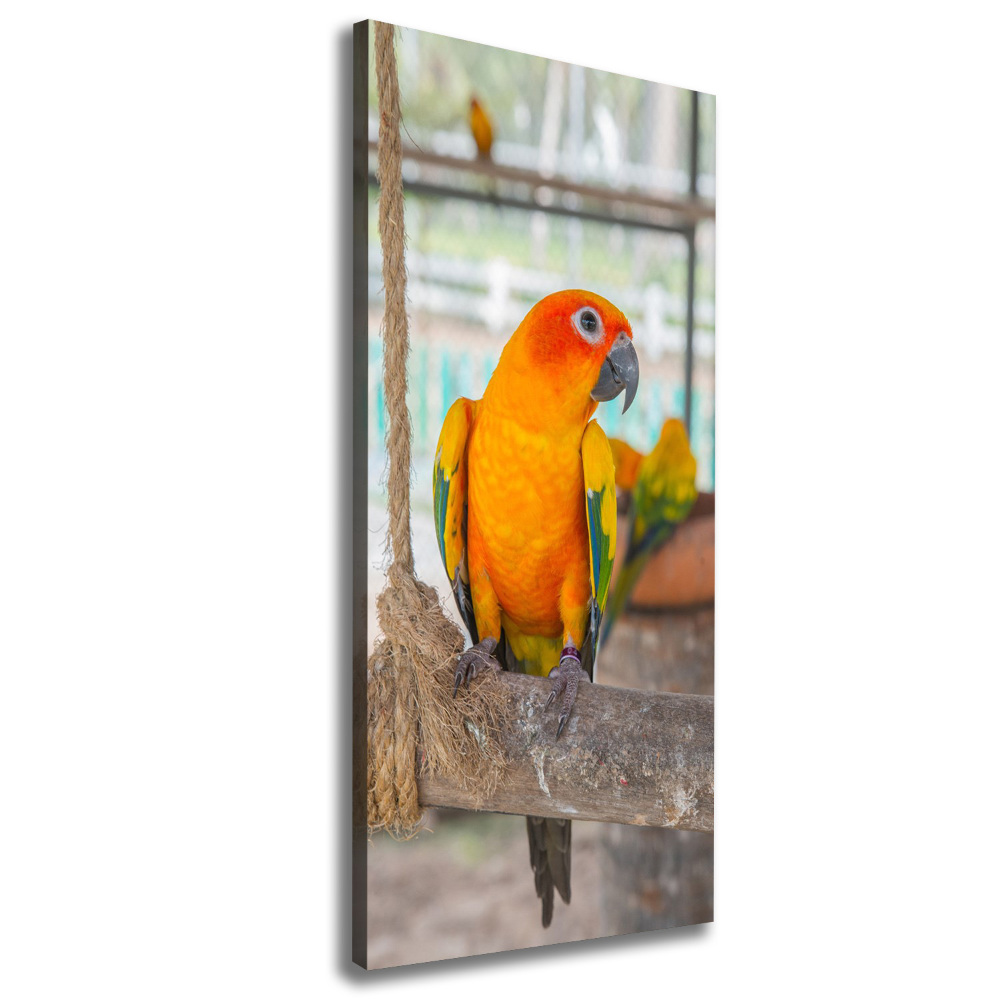 Canvas wall art Parrot