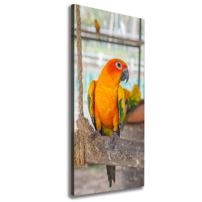 Canvas wall art Parrot