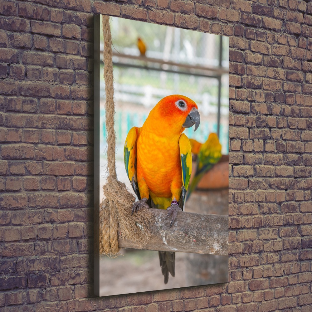 Canvas wall art Parrot