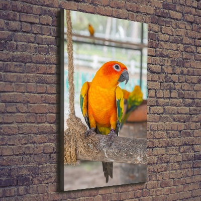 Canvas wall art Parrot