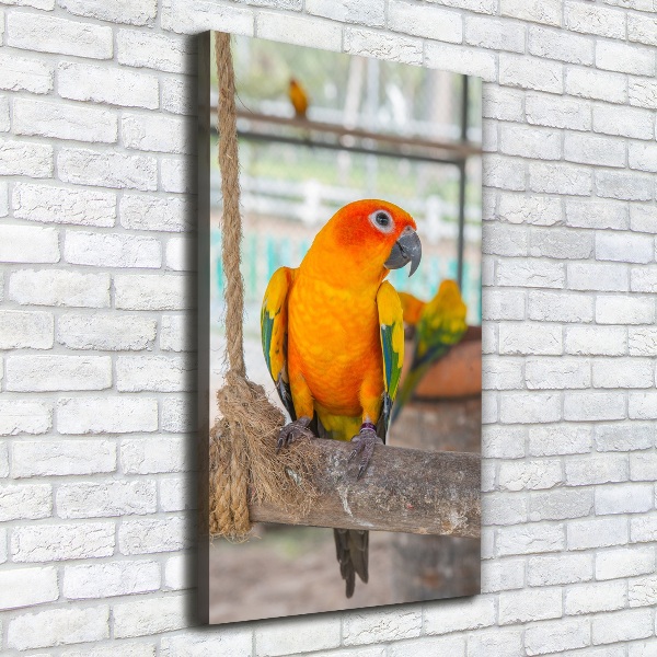 Canvas wall art Parrot