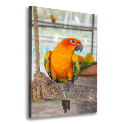 Canvas wall art Parrot