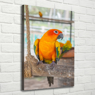 Canvas wall art Parrot