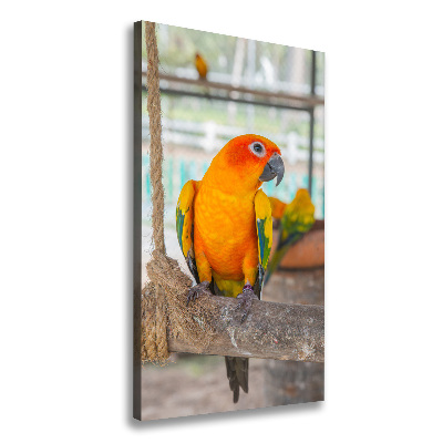 Canvas wall art Parrot