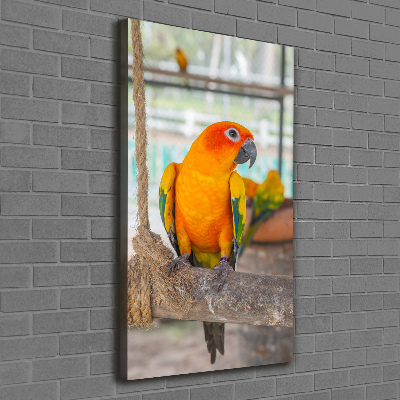 Canvas wall art Parrot