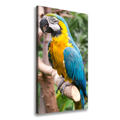 Canvas wall art Ara parrot