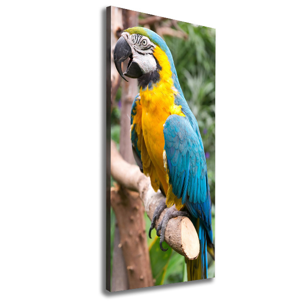 Canvas wall art Ara parrot