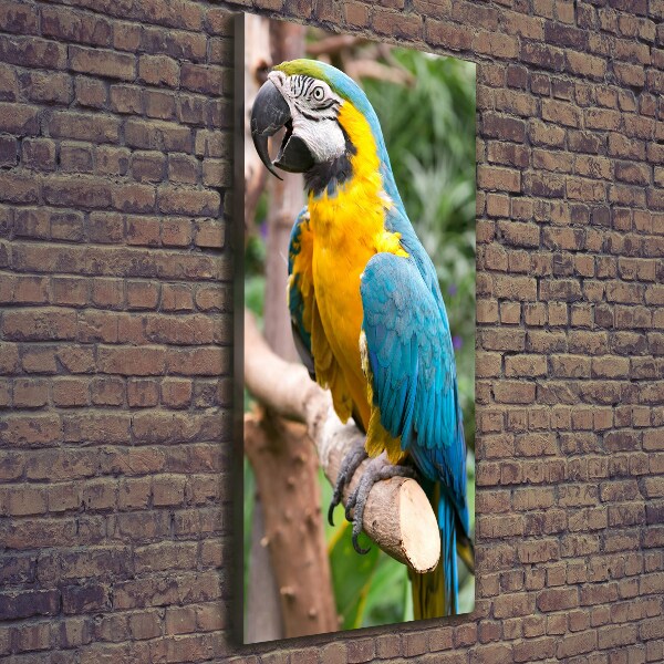 Canvas wall art Ara parrot