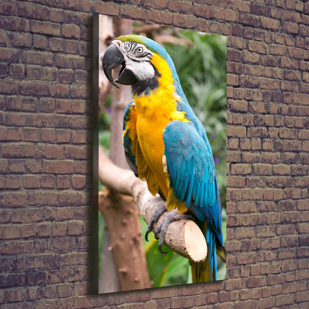 Canvas wall art Ara parrot