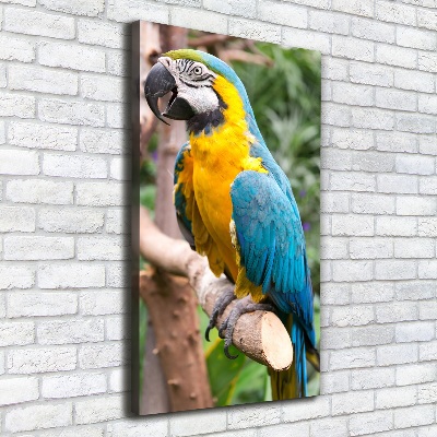 Canvas wall art Ara parrot