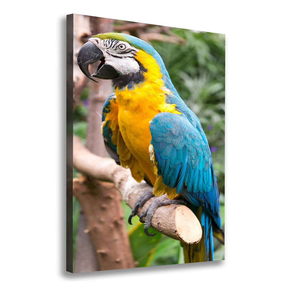 Canvas wall art Ara parrot