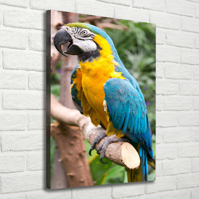 Canvas wall art Ara parrot