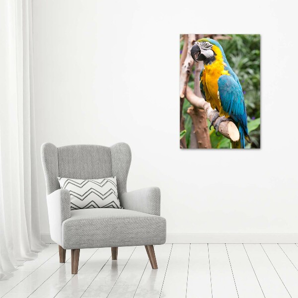 Canvas wall art Ara parrot