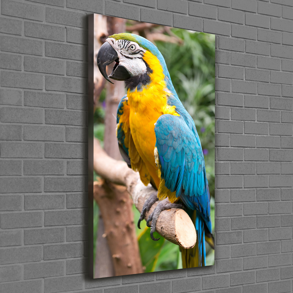 Canvas wall art Ara parrot