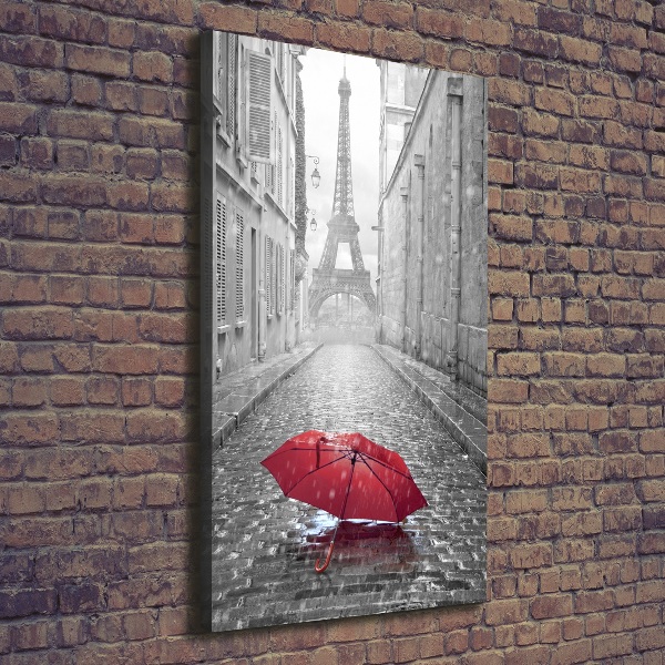 Canvas print France umbrella