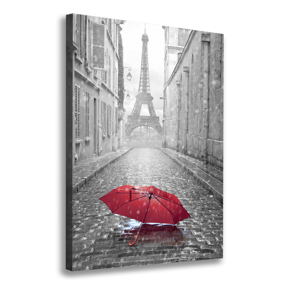 Canvas print France umbrella