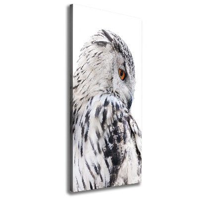 Canvas wall art White owl