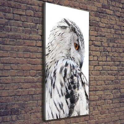 Canvas wall art White owl