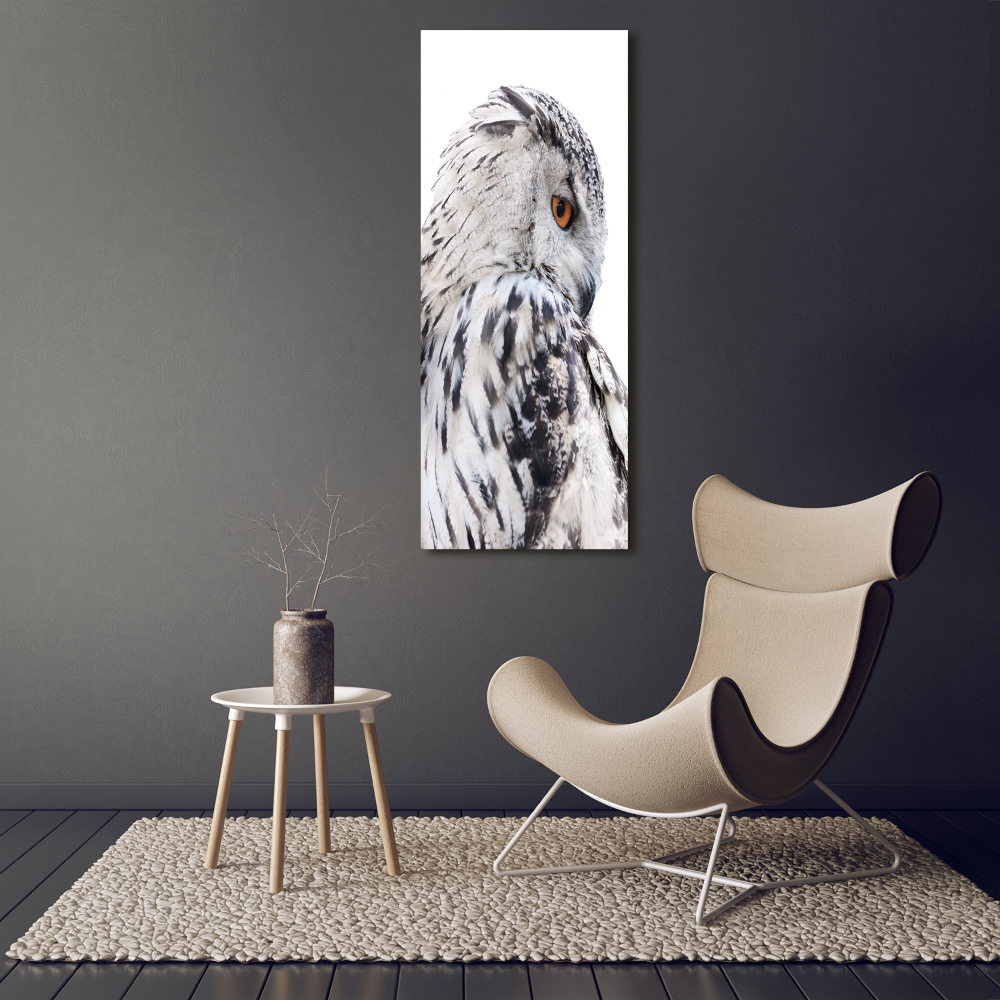 Canvas wall art White owl