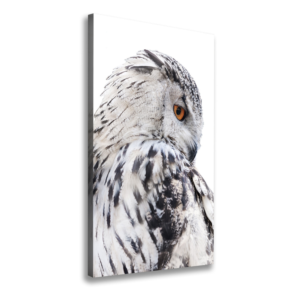 Canvas wall art White owl