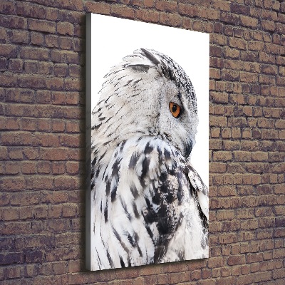 Canvas wall art White owl