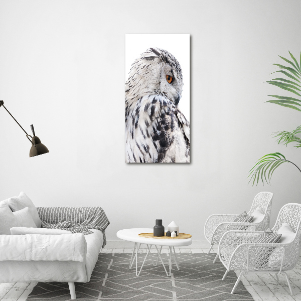 Canvas wall art White owl