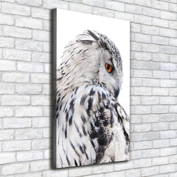 Canvas wall art White owl