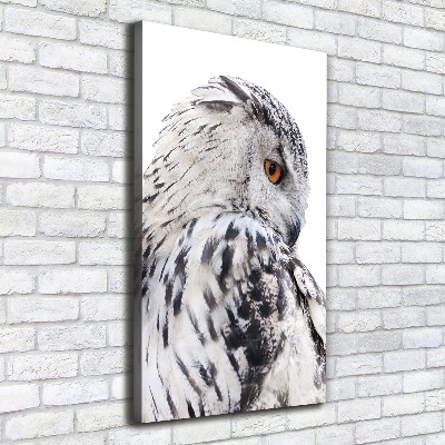 Canvas wall art White owl