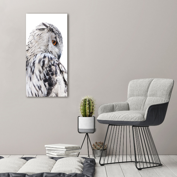 Canvas wall art White owl