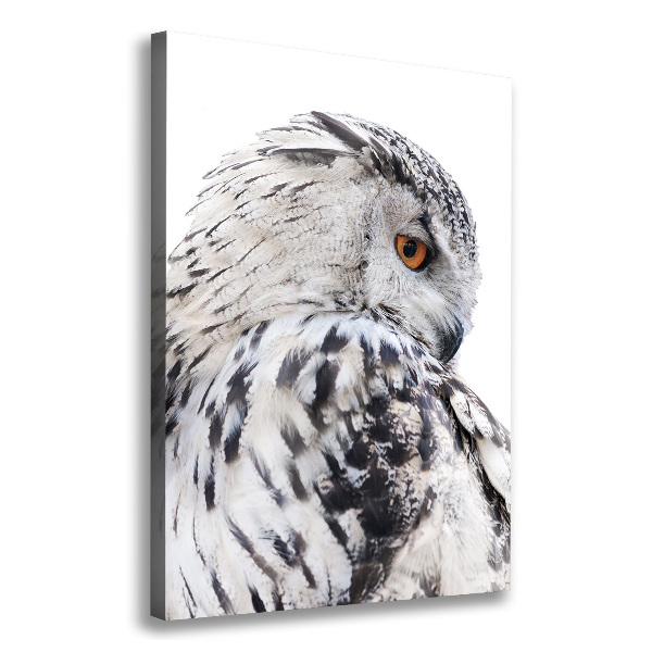 Canvas wall art White owl