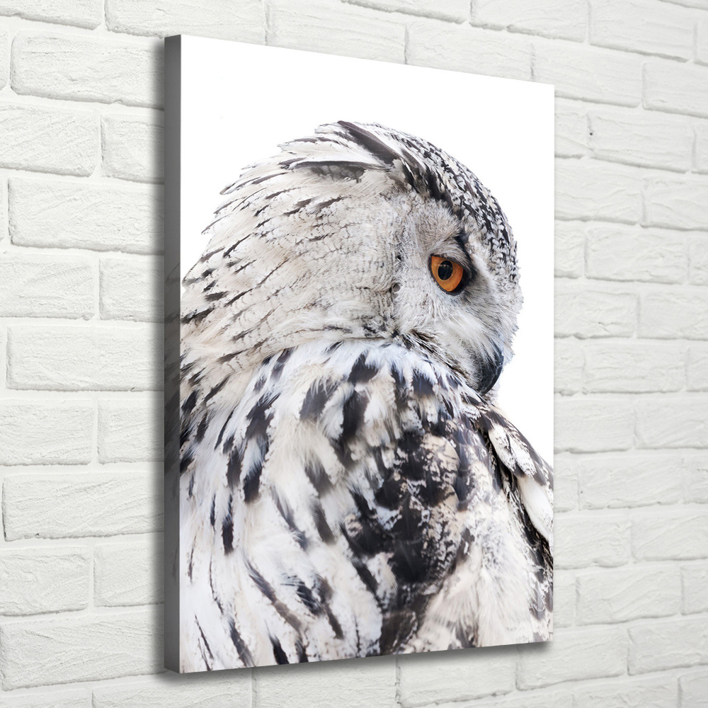 Canvas wall art White owl