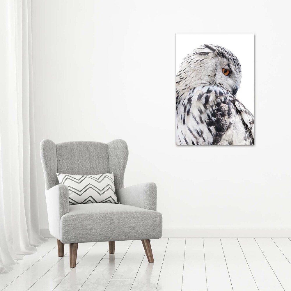 Canvas wall art White owl