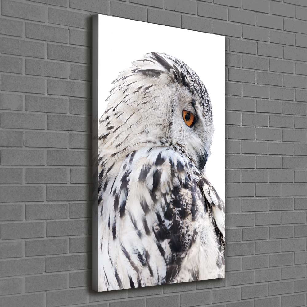 Canvas wall art White owl