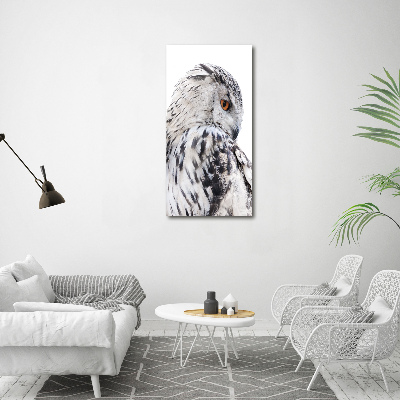 Canvas wall art White owl