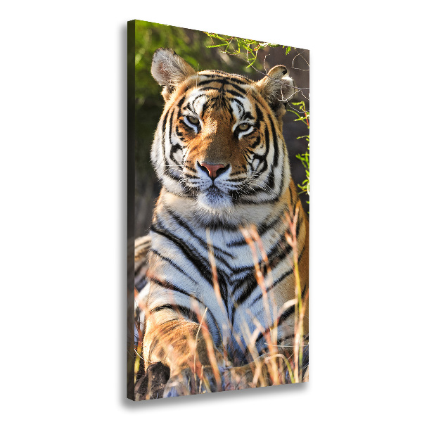 Canvas wall art Tiger