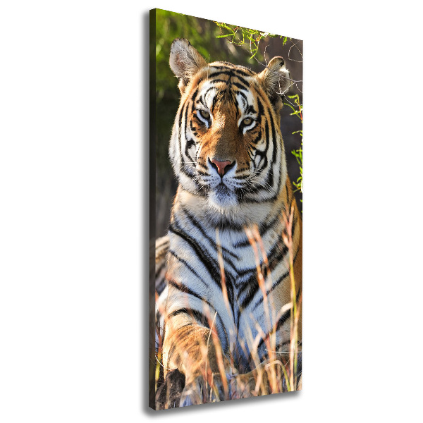 Canvas wall art Tiger