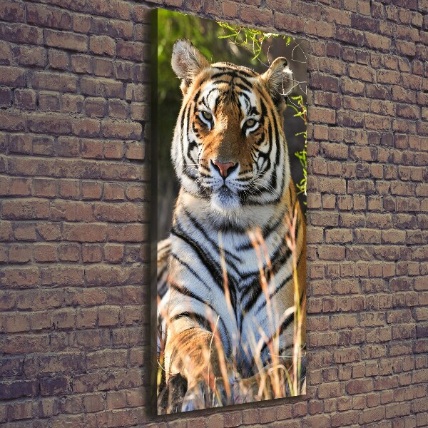 Canvas wall art Tiger