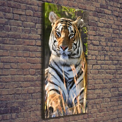 Canvas wall art Tiger