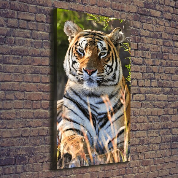 Canvas wall art Tiger