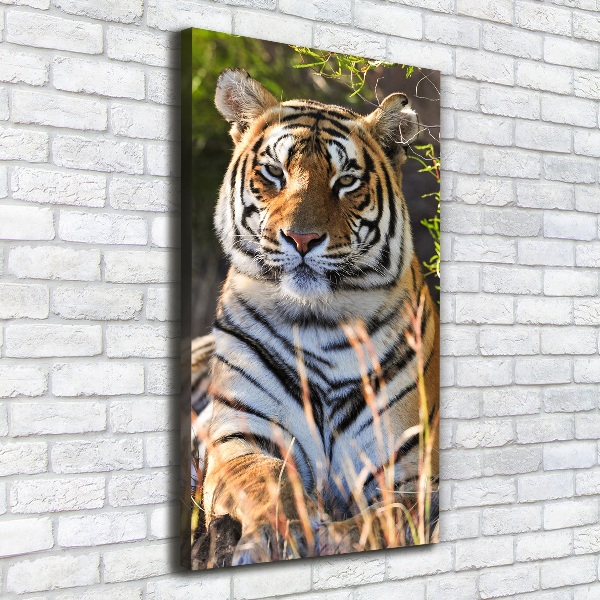 Canvas wall art Tiger