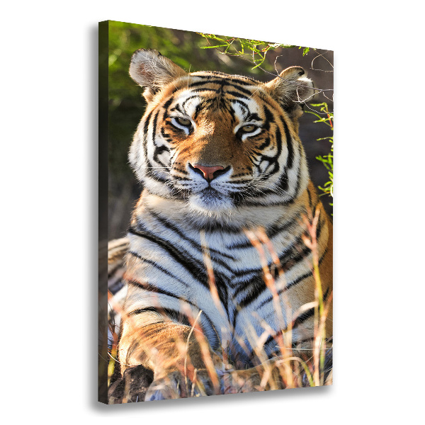 Canvas wall art Tiger