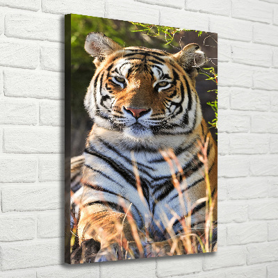 Canvas wall art Tiger