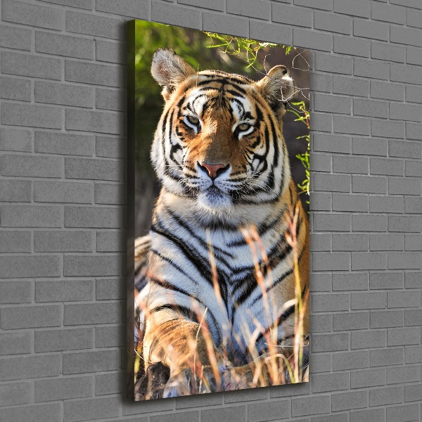 Canvas wall art Tiger