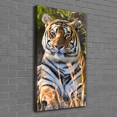 Canvas wall art Tiger