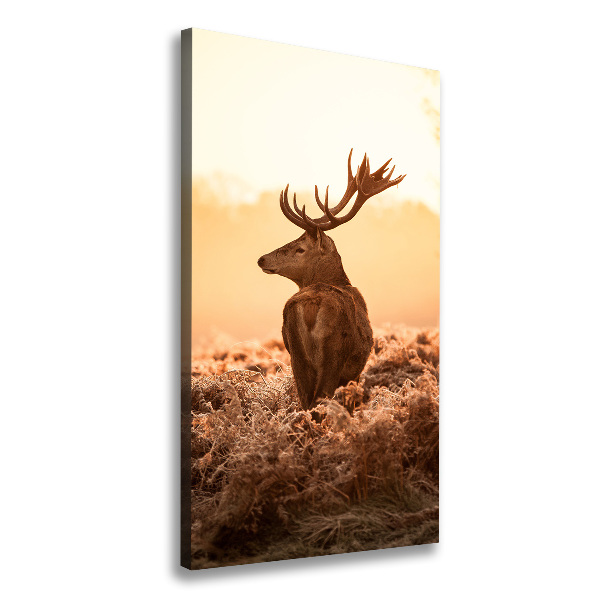 Canvas print Deer sunrise