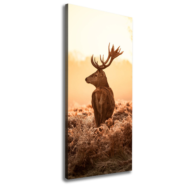 Canvas print Deer sunrise