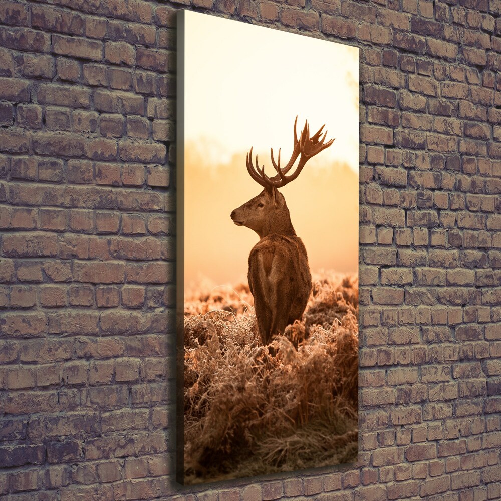 Canvas print Deer sunrise