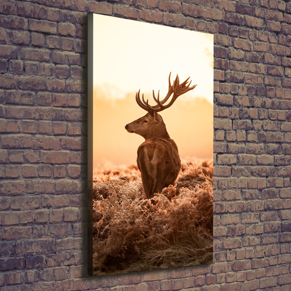 Canvas print Deer sunrise